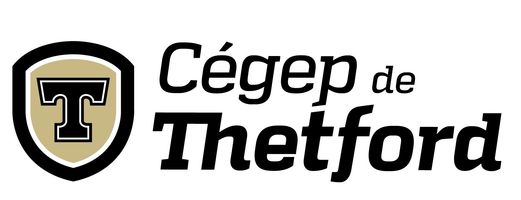 Logo 2015 Cégep de Thetford couleur fond blanc